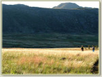 Paisagem em  Lagoa Dourada